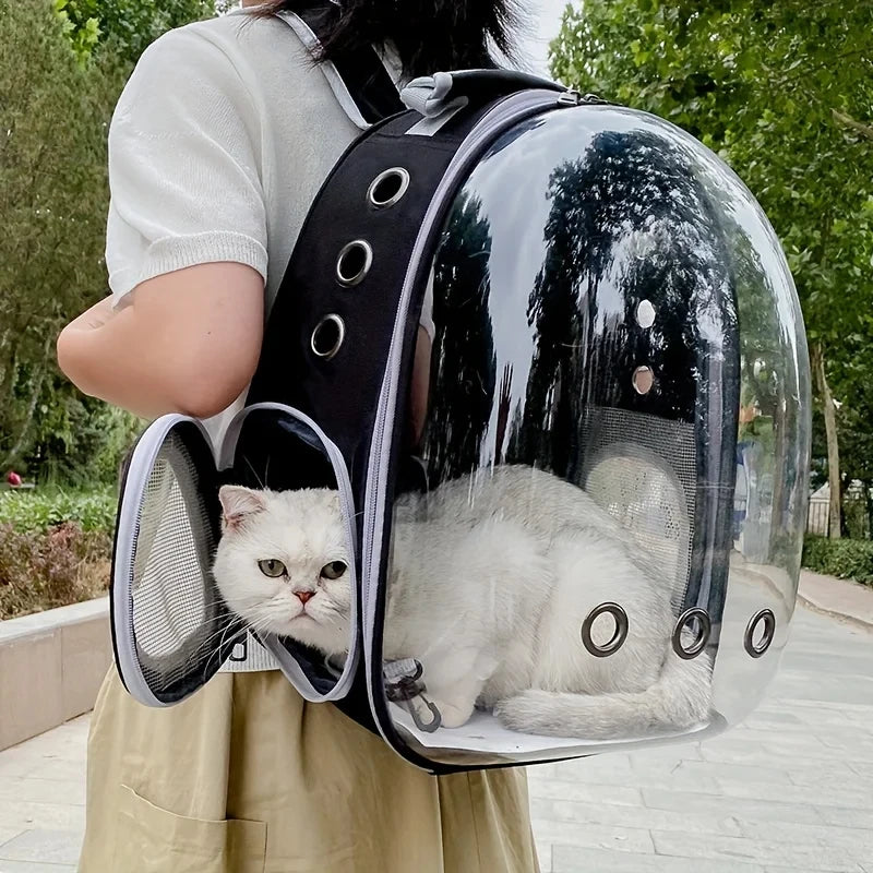Kitten carrier backpack on sale