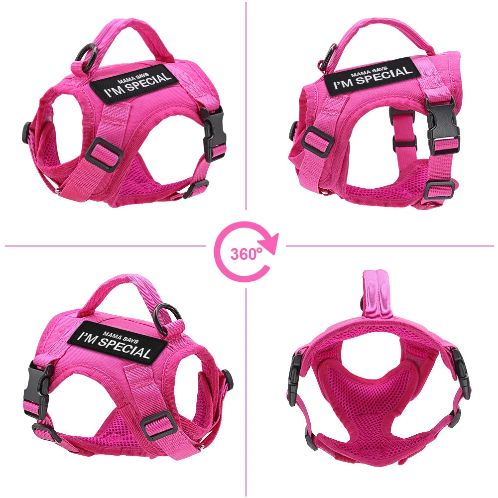 Tactical Nylon Cat Harness with Handle