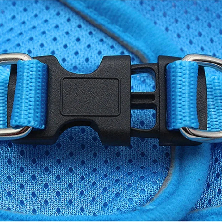 Secure cat harness with easy leash attachment for quick setup.