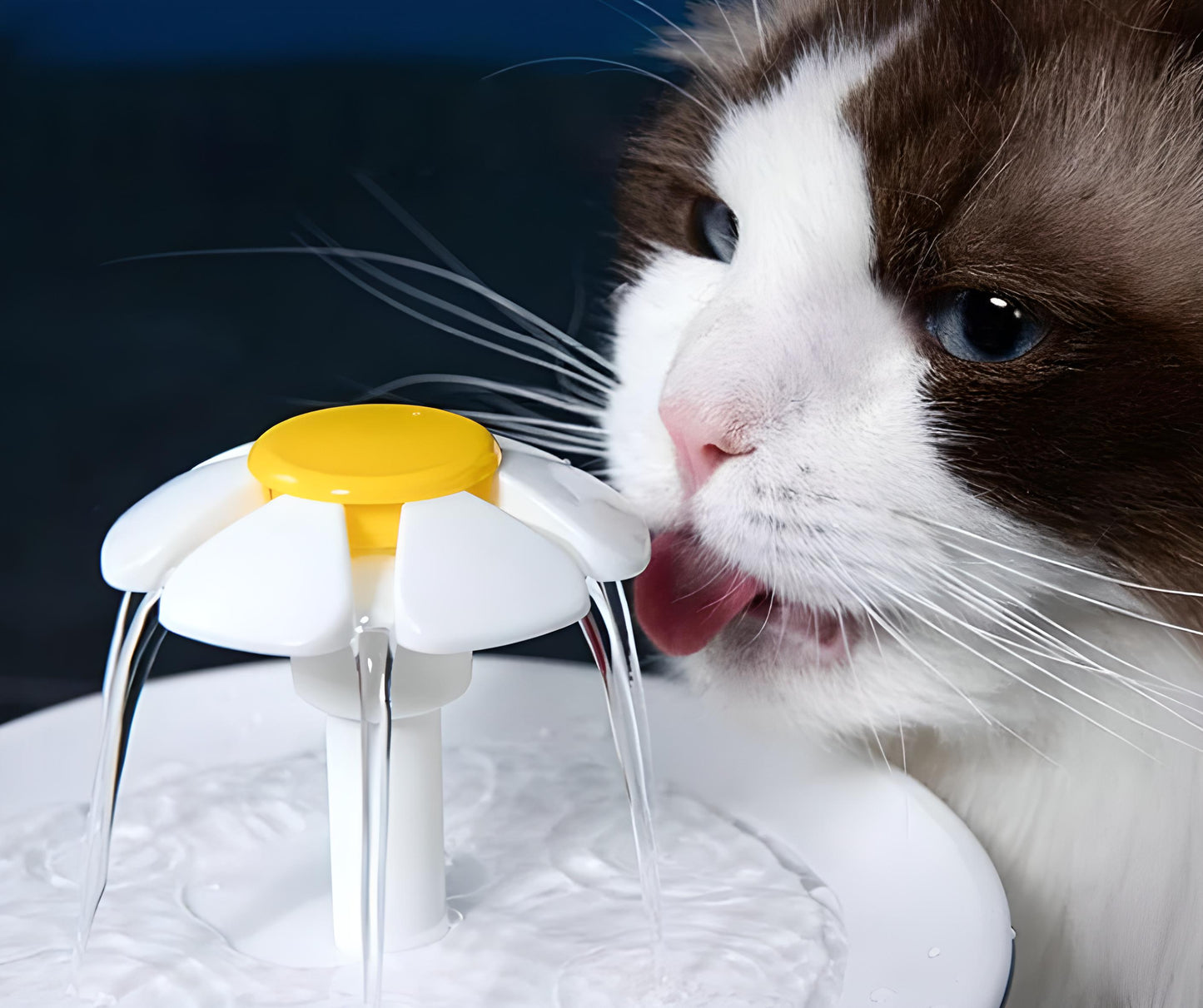 Cat Water Fountain Automatic USB 1.2L