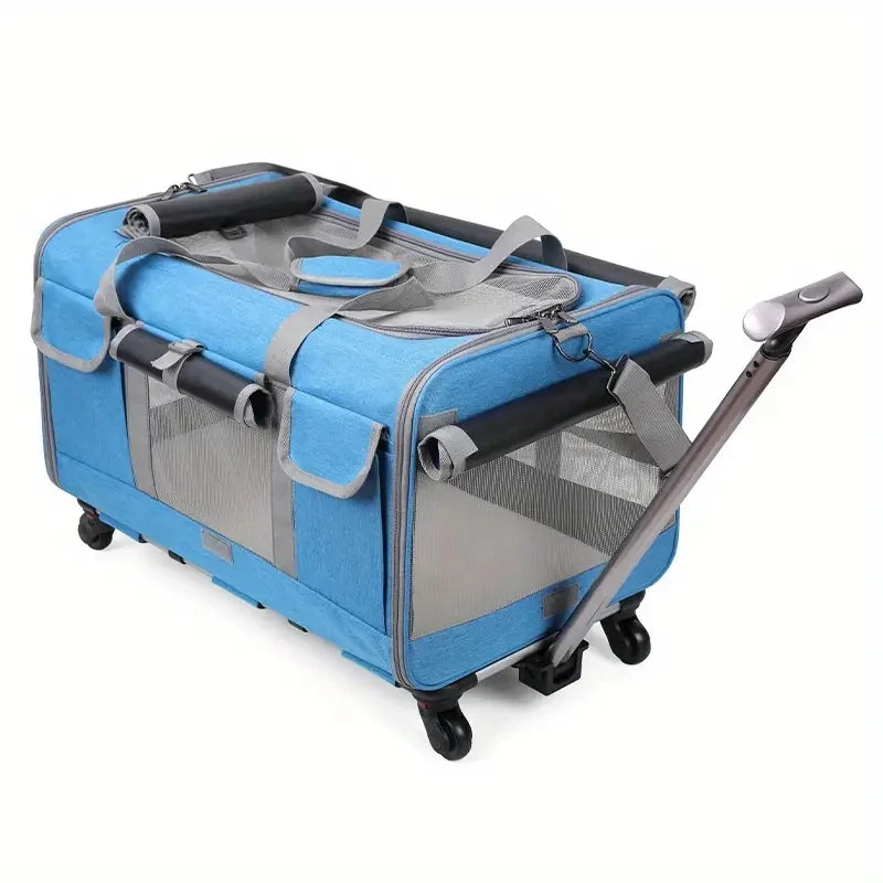 large cat travel carrier color blue