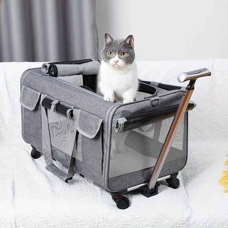 large cat travel carrier with cat
