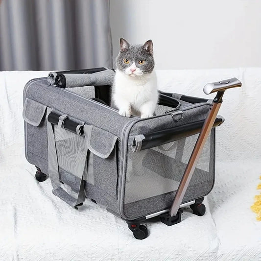 large cat travel carrier with cat