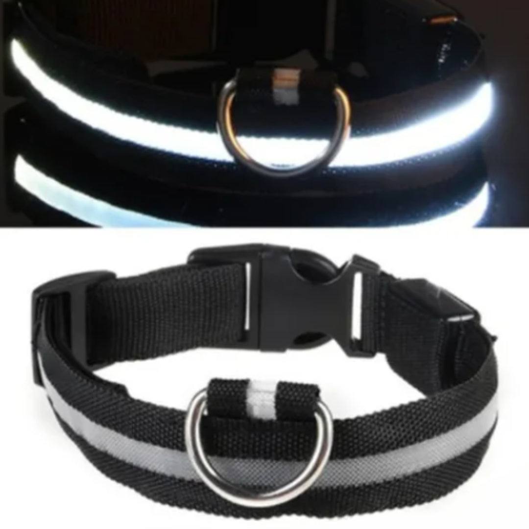 Luminous Anti-Pet-Lost Night Collar