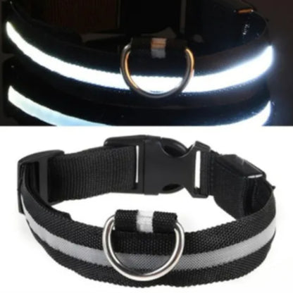 Luminous Anti-Pet-Lost Night Collar