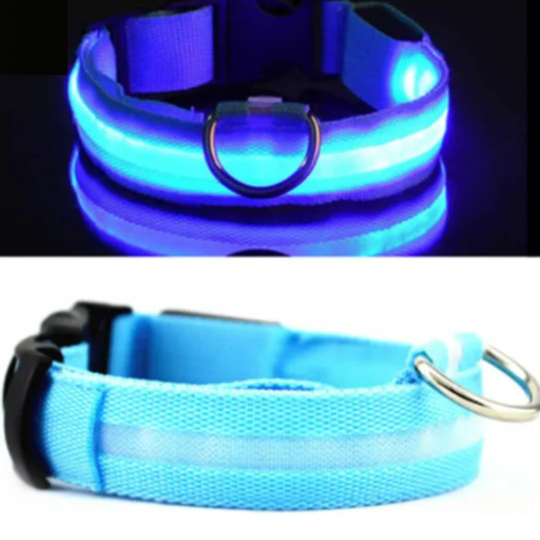 Luminous Anti-Pet-Lost Night Collar