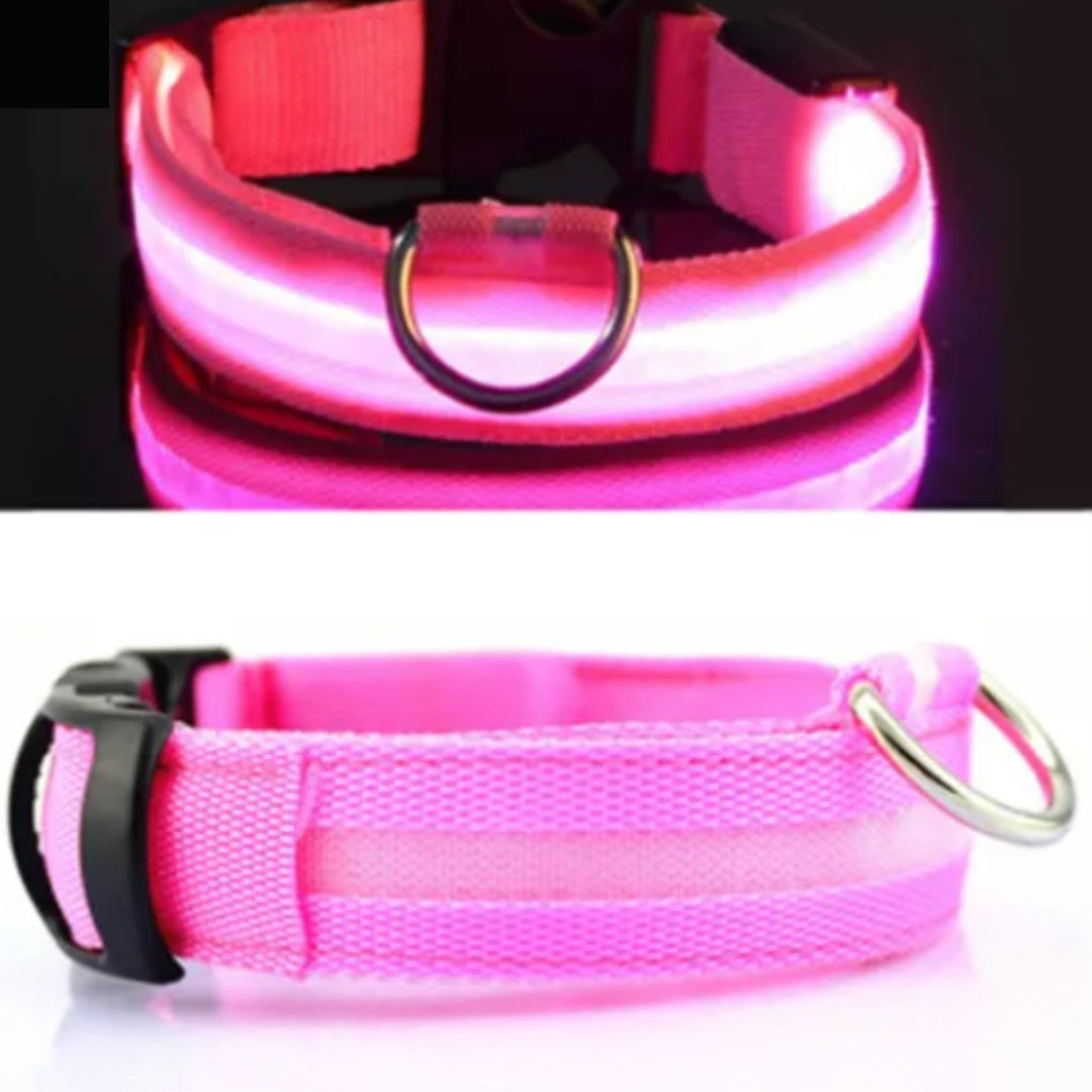 Luminous Anti-Pet-Lost Night Collar