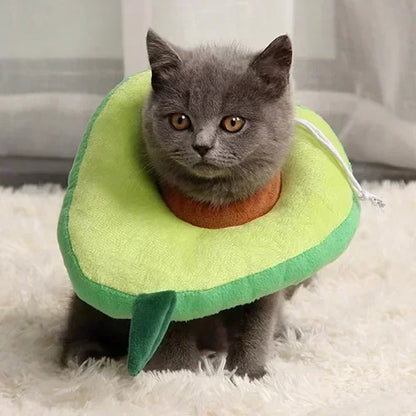 Cat Recovery Collar - cat cone