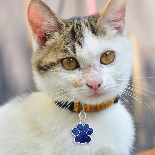 Personalized Pet Tag - Custom Engraved Stainless Steel Cat ID Tags