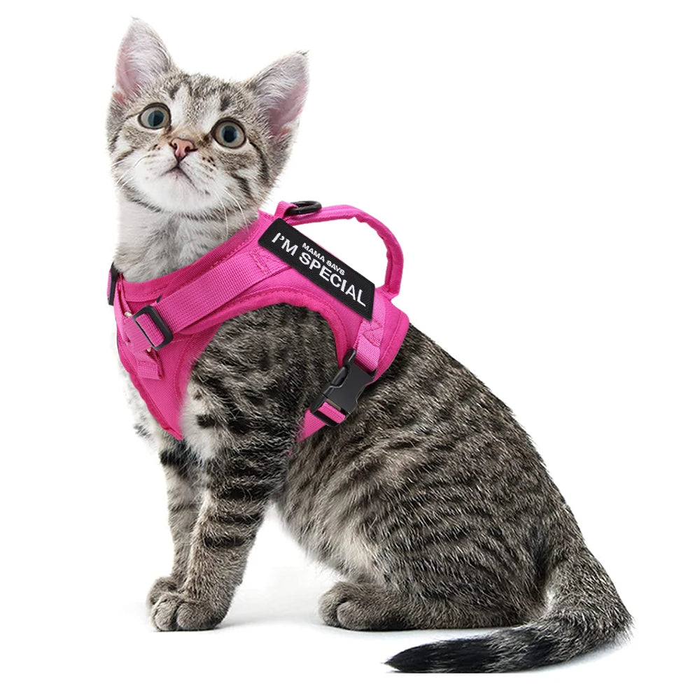 Tactical Nylon Cat Harness with Handle