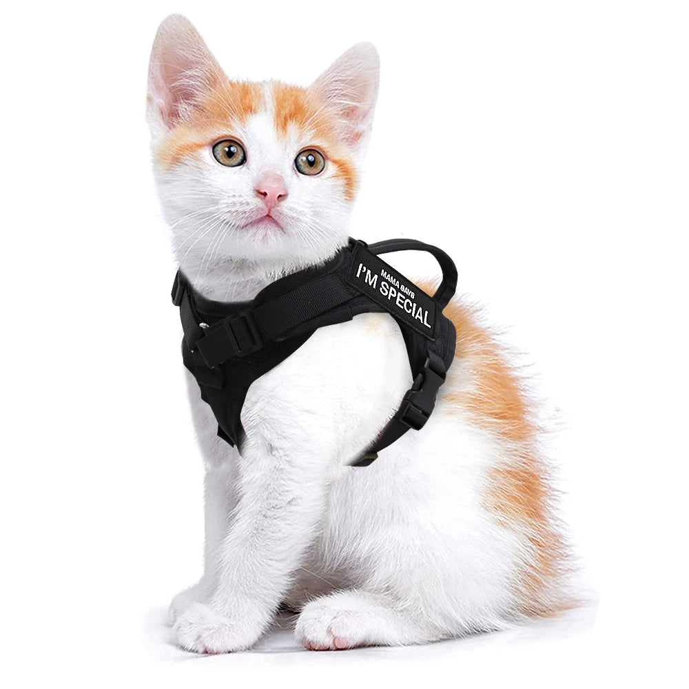 Tactical Nylon Cat Harness with Handle
