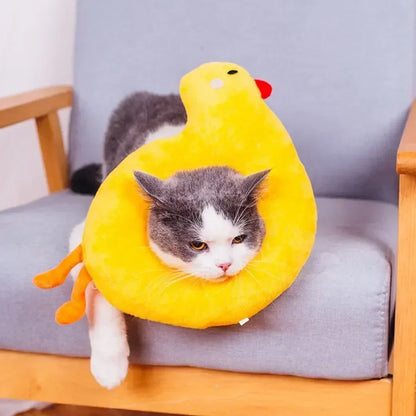 Cat Recovery Collar - cat cone