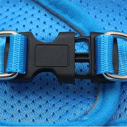 Secure cat harness with easy leash attachment for quick setup.