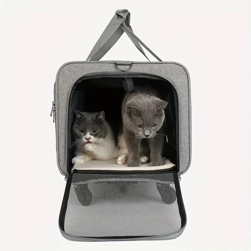 large cat travel carrier with two cats